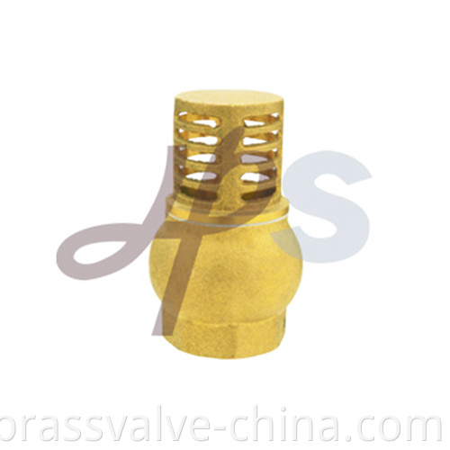 Brass Foot Valve